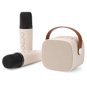 스마텍 무선 블루투스 듀얼 마이크 + 스피커