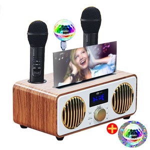 위드제이앤엠 가정용 휴대용 무선 블루투스 노래방 듀얼 마이크 스피커 노래방 기계 세트 + 가정용 미러볼