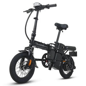 에이유테크 스카닉 2X 접이식 전기자전거 36V 7.5Ah