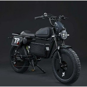 고출력 전기자전거 60V 신형 자토바이 페이스오프 N1 3000W 배달용