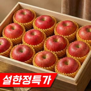 [설한정특가] 오형제농원 12brix 명품 부사사과 선물세트