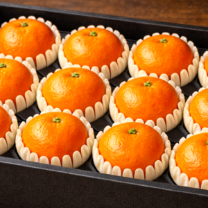 [품질보장] 제주 천혜향 선물세트 선물용