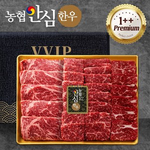 [농협안심한우] 따봉프레시 육즙가득 1++ 구이용 명절 선물세트, 1개, 1000g