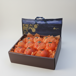 [산지직송_실속형]설선물용 고당도 제주 레드향 선물세트