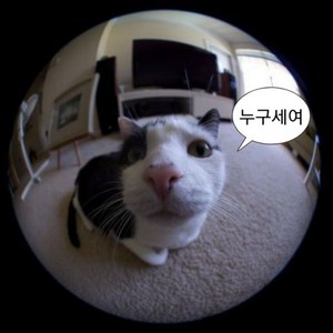 쓸데없는 선물 스마트폰 피쉬아이렌즈 아이폰 갤럭시 어안 광각 렌즈 틱톡 릴스 인싸템 접사렌즈