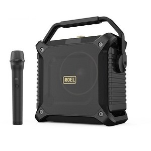 로엘 버스킹DJ 블루투스 우퍼 스피커 + 무선 마이크, BUSKING DJ, 혼합색상