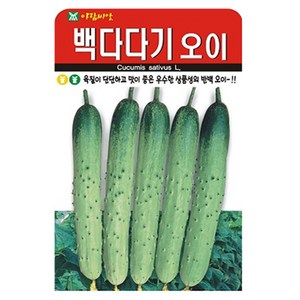 아람종묘 백다다기 오이 씨앗 50p