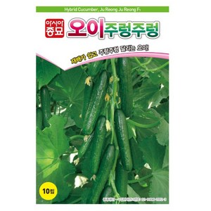 아시아종묘 오이 주렁주렁 씨앗 10립