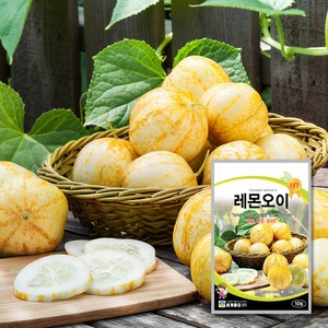 레몬오이 10립 / 아삭한 식감이 매력적인 이색채소, 1개