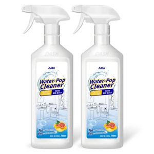 대쉬 워터팝 물때 클리너, 750ml, 2개
