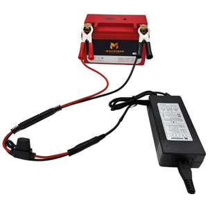 자동차 오토바이 인산철 배터리 충전기 4A