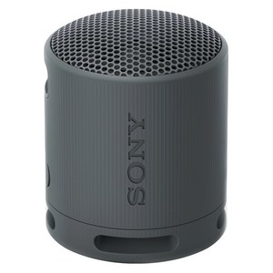 소니 휴대용 블루투스 스피커