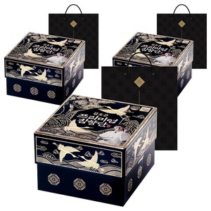 김오곤 프리미엄 침향단 100p + 쇼핑백, 450g, 3개