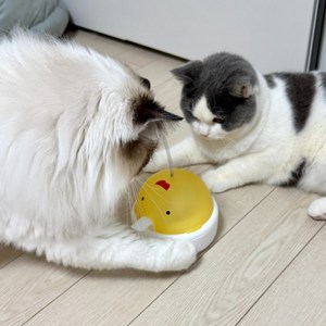 MAAH 반려동물 자동 강아지 노즈워크 고양이 푸드트리 장난감 [새소리나는], 1개, 옐로우[치킨]