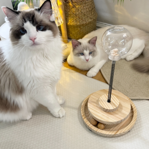 PETCA 고양이 우드 전구 푸드트리 퉁퉁 간식 장난감 간식볼, 1개