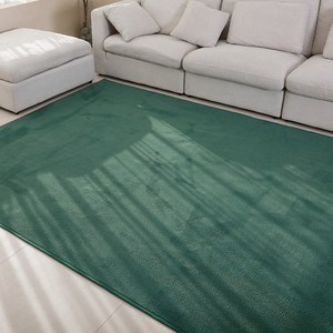 온결 먼지없는 워셔블 단모 사각 러그 카페트