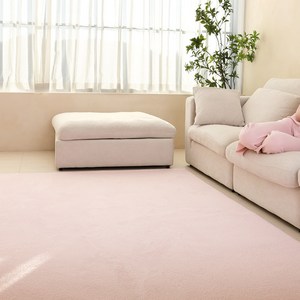 온결 먼지없는 워셔블 단모 사각 러그 카페트