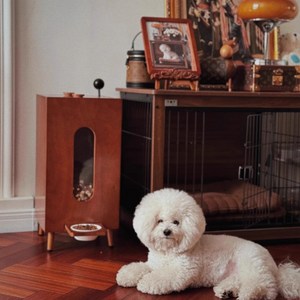 반려동물 먹이통 밥그릇 사료보관함 대형견 소형견 고양이 레트로, 1개, 10L, 브라운