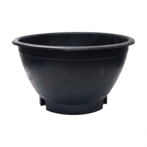 실속형 블루베리 화분, 단일색상, 1개