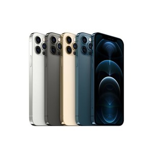 애플 아이폰 12 프로 256GB A2407 공기계 중고폰 리퍼폰 모든 부품 100% 정품, 랜덤색상 빠른출고 가능, 256GB