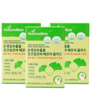 은행잎추출물 징코빌로바 메모리 플러스 기억력개선 혈액순환 혈행개선 (플라보놀 배당체 최대치 36mg) 2개월분