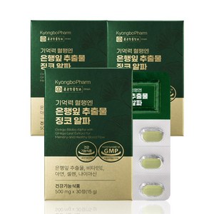 종근당홀딩스 경보제약 기억력 혈행엔 은행잎 추출물 징코 알파