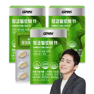 GNM 징코빌로바11 / 은행잎추출물 비타민B 아연 판토텐산