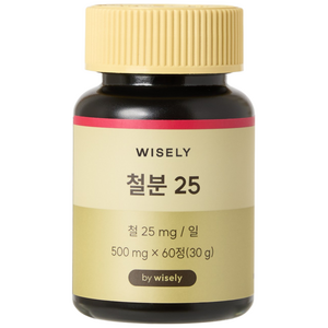 와이즐리 철분 25 (2개월분)