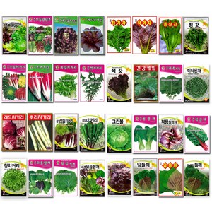 상추씨앗 양상추씨앗 쌈채소씨앗 텃밭채소 텃밭가꾸기  상추양상추씨앗 70여종