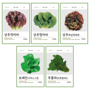 심따 텃밭 쌈 채소 씨앗 5종 적치마 청치마 루꼴라 로켓 로메인 꽃상추 씨앗, 5개
