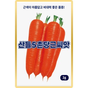 산들 5촌 당근씨앗 2g 비대 좋고 뿌리 맺힘 좋은 당근씨 종자, 1개