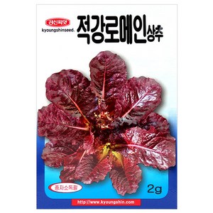 세인화분 적강 로메인 상추 2g - 상추씨 채소 씨 씨앗 빨간 상추
