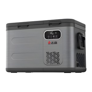 아이스트립 실속형 차량용 냉장고 화물차 캠핑 휴대용 대용량 가정용 차박 냉동고, 차량 가정 겸용, 39L