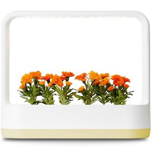 LG전자 틔운 미니 식물재배기