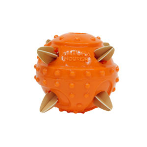 네추라너리쉬 볼 덴탈트릿