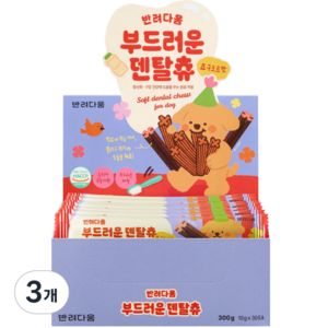 반려다움 부드러운 강아지 덴탈껌 대용량 덴탈츄, 3개, 300g, 요구르트