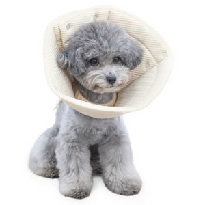 개놀자 오가닉 펜타곤 넥카라, 오트밀, 1개