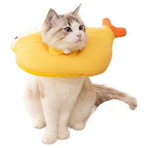 웨이비데이즈 반려동물 포테이토 쿠션 넥카라