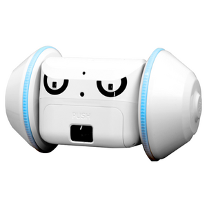 [펫반장] 스마트 반려동물 케어 펫로봇/ 짖음완화 강아지 장난감 노즈워크 분리불안 간식로봇 앱연동가능, 단품, 1개