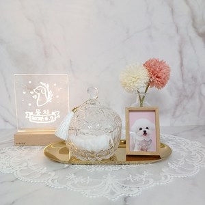 강아지 고양이 유골함 추모함 반려동물 메모리얼스톤 보관 반려견 애견 유골스톤 루세떼 보관함 크리스탈 유골함 화이트