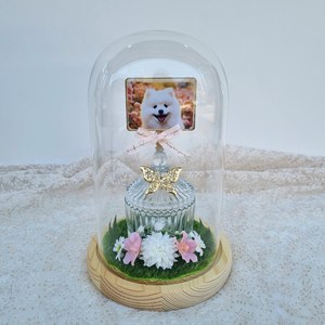 메모리얼스톤보관함 애견추모함 유골함 반려동물 추모공간 반려견 추모함 강아지 추모함 고양이 추모함 스톤보관함 유골보관함