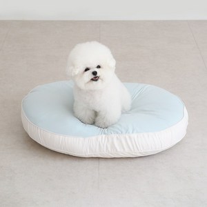 홈랩 기절 펫 강아지 고양이방석 도넛쿠션 커버 세트, 1세트, 민트