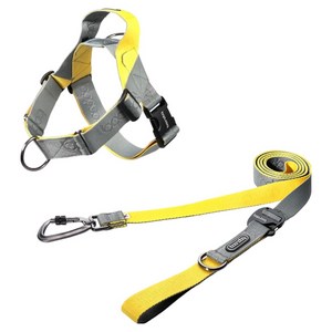 분독 강아지 플레이리쉬 카라비너 리드줄 + 0109 하네스 세트, 그레이레몬, 1세트