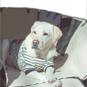 차량용 강아지 애견카시트 대형 방석 이동가방 뒷좌석 펫 풀커버 캐리어 누링크 세이프티 카시트, 코지_데저트, 1개