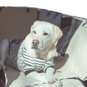 차량용 강아지 애견카시트 대형 방석 이동가방 뒷좌석 펫 풀커버 캐리어 누링크 세이프티 카시트, 쿠션_블랙, 1개