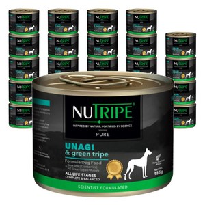 뉴트라이프 전연령용 퓨어 도그 그린트라이프 습식사료, 185g, 24개, 장어