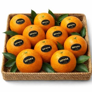 [프리미엄] 블랙라벨 오렌지 초고당도 선별 특품 디아머스