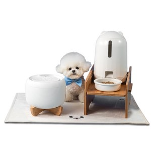 페키움 풀패키지 고양이 강아지 정수기 자동 급식기 음수대, 1세트