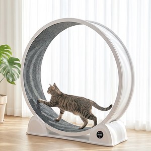 돌아라 저소음 대구경 캣휠 스마트 거리측정 고양이 런닝머신, 1개, 흰색