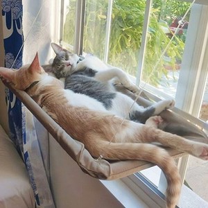 창문 설치 고양이 해먹 흡착판 캣타워 침대 고양이해먹 해먹침대 고양이하우스